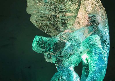 SW_IS_2016_Chameleon_02