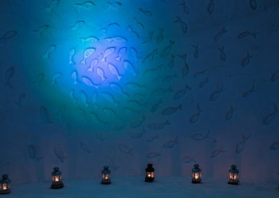 SW_SS_2016_Fishes_01