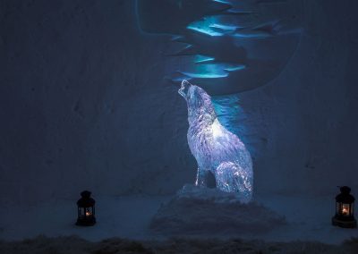 SW_IS_2016_Wolf_02