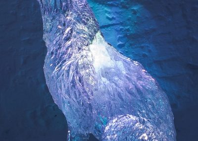 SW_IS_2016_Wolf_03