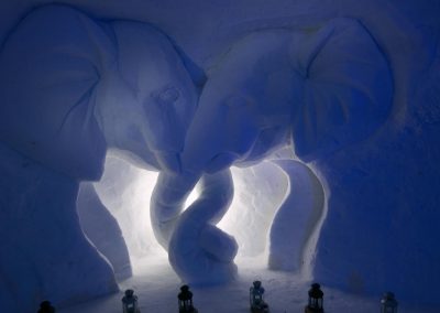 SW_SS_2017_Elephants_01