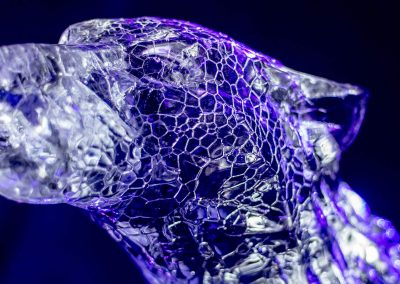 SW_IS_2017_IceWolf_01