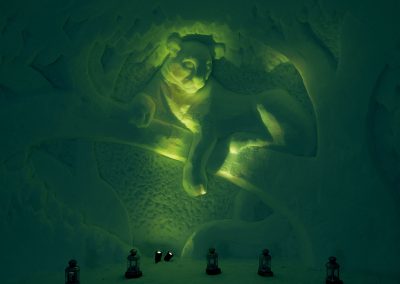 SW_SS_2017_Puma_01